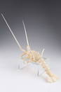 Signed Japanese Articulated Okimono Spiny Lobster