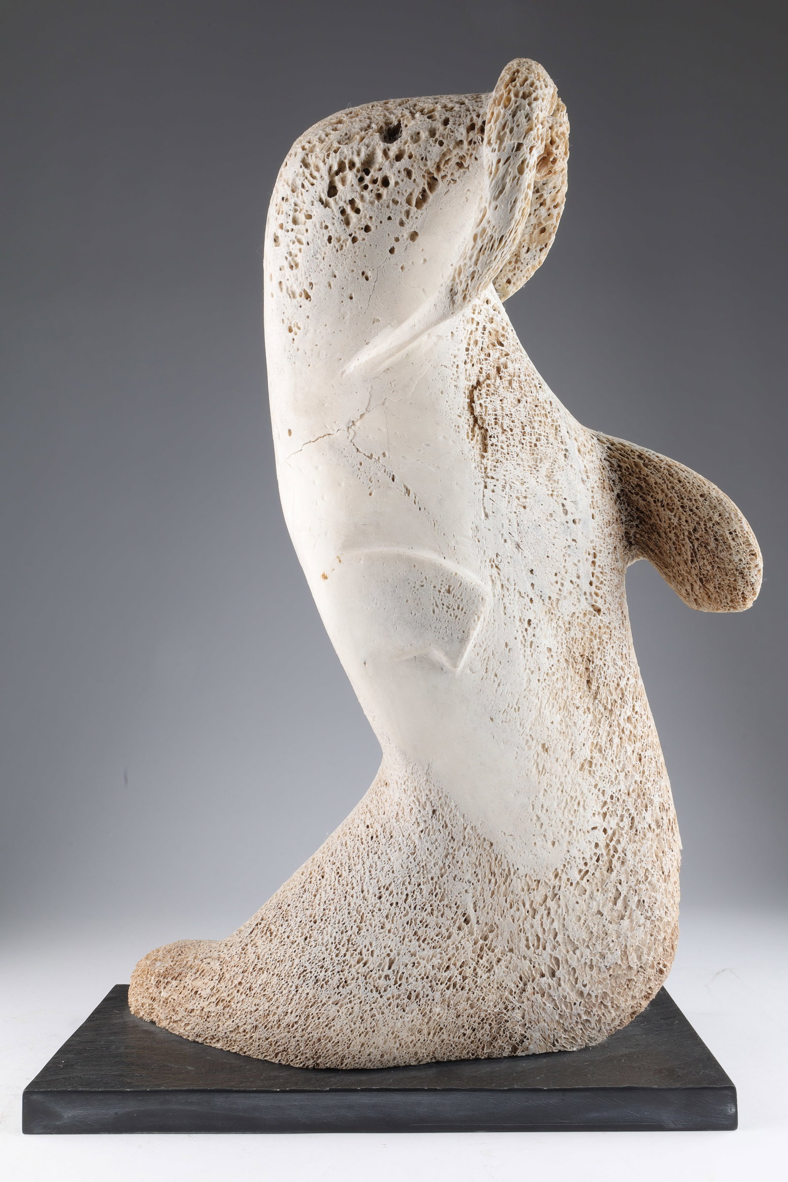 Inuit Large Fossilized Whale Bone Carving Walrus: Canadian Inuit large hand carved fossilized whale bone carving of a walrus set on a slate base. This item cannot be exported from Canada. 22 inches H x 15 W x 7.5 deep.