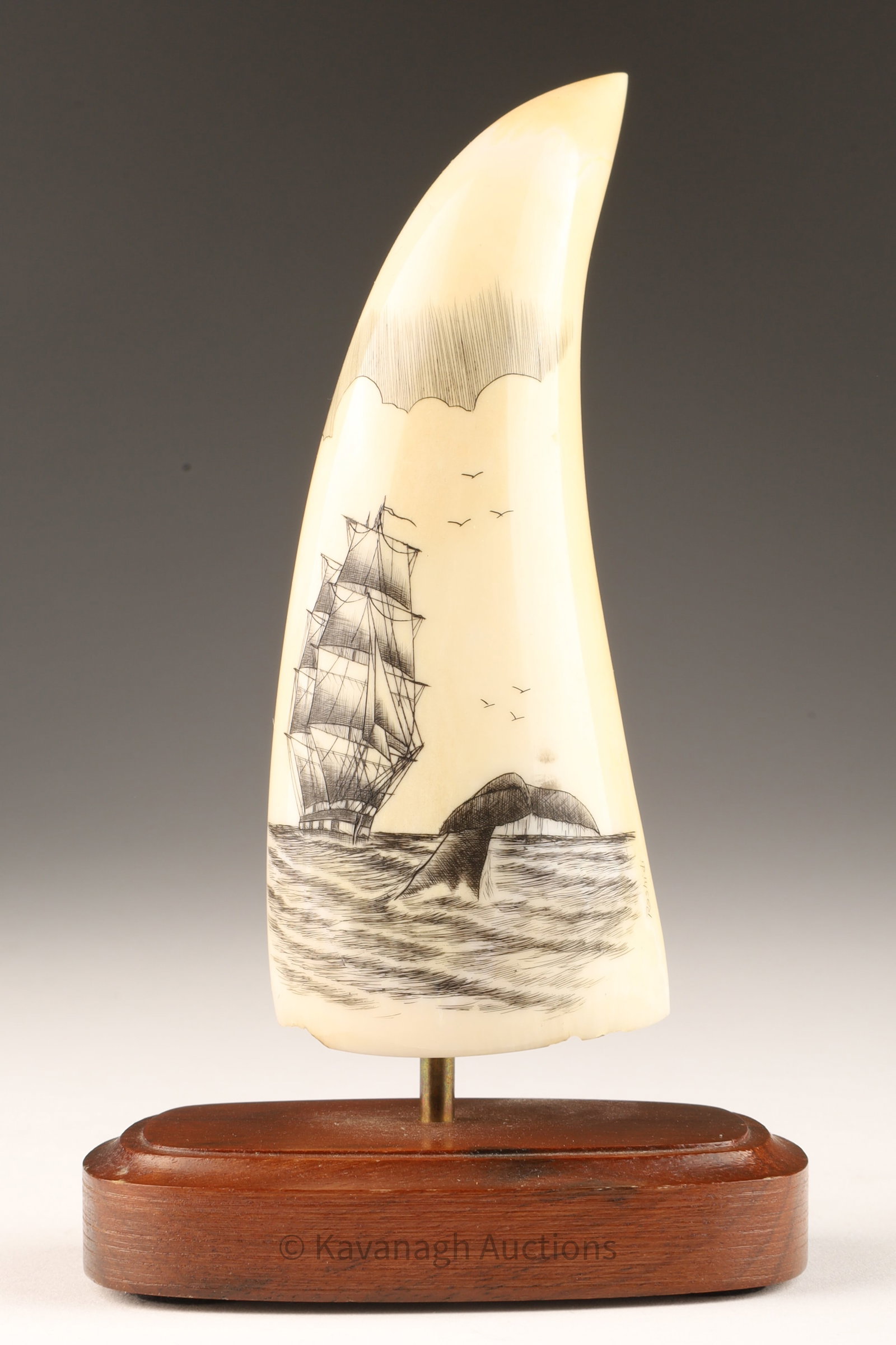 Carved Scrimshaw Whale Tooth Signed Salman Rashidi: Carved Scrimshaw Whale Tooth Signed Salman Rashidi. Depicting a whale in front of a ship. 4 inches H x 2.5 W including stand. This item cannot be exported from Canada.