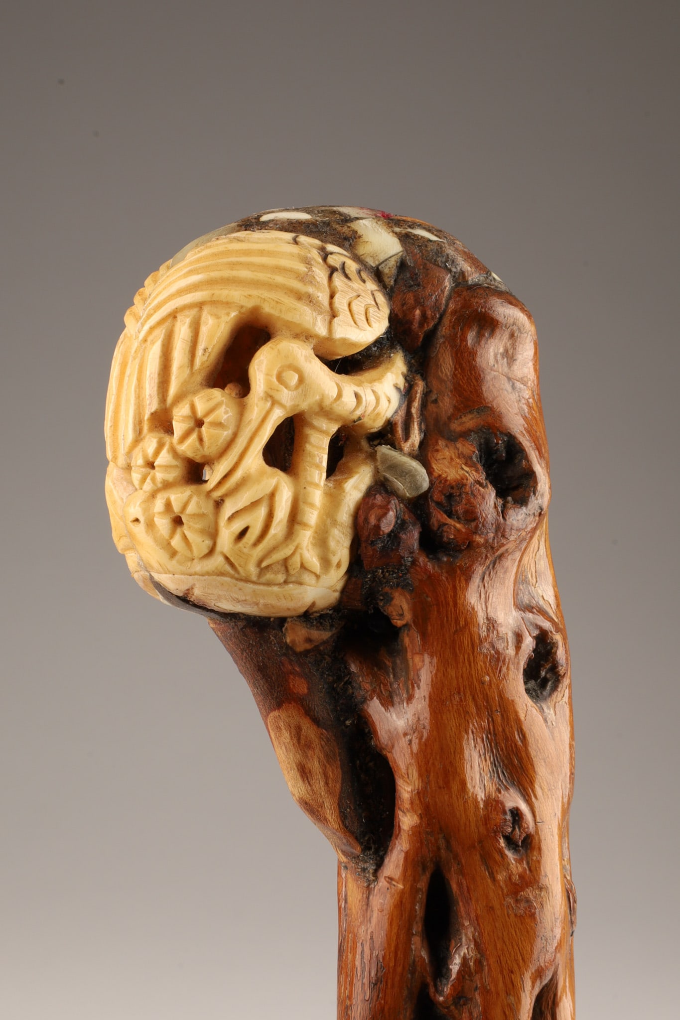 Antique Root Cane Japanese Okimono Handle (1 of 6)