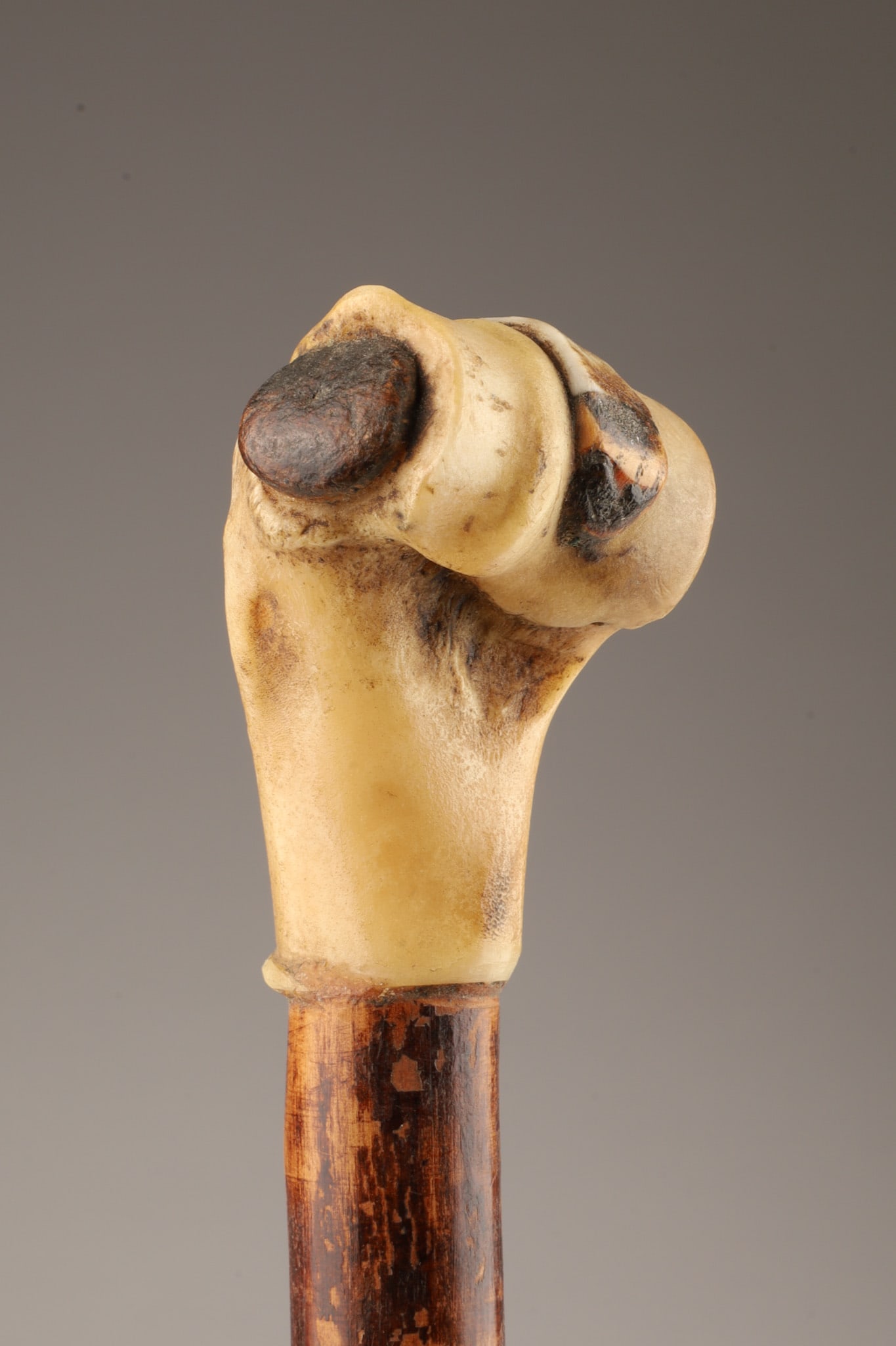Folk Art Carved Bone Knob Walking Stick Cane: Folk Art Carved Bone Knob Walking Stick Cane with thornwood shaft and brass ferrule. 36.5 inches