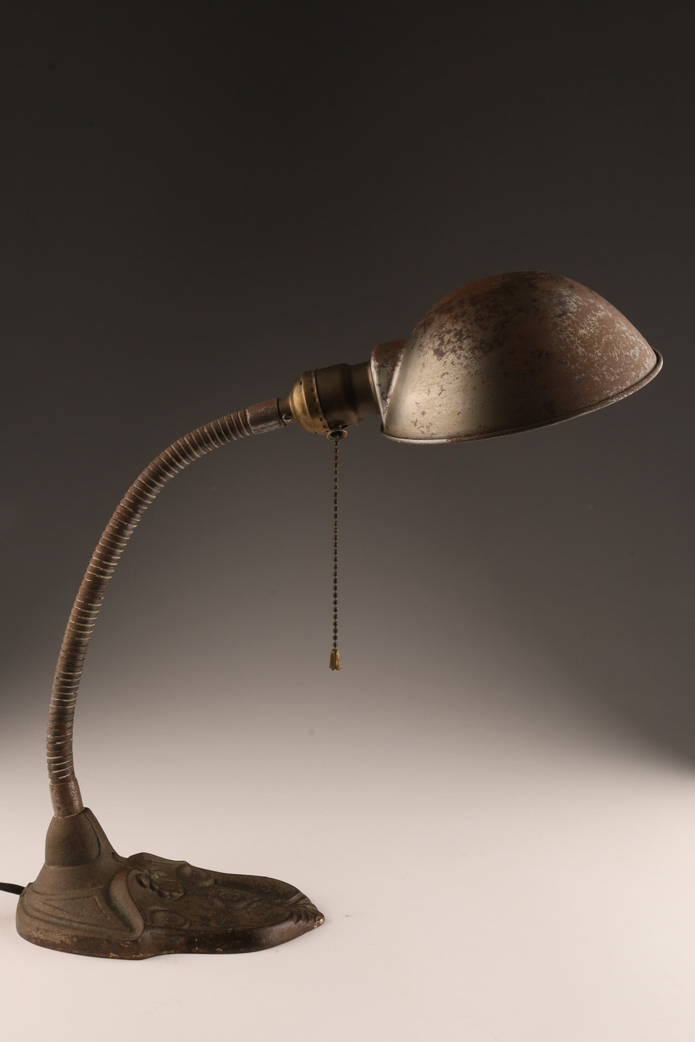 Art Nouveau Industrial Cast Iron Gooseneck Lamp (1 of 6)