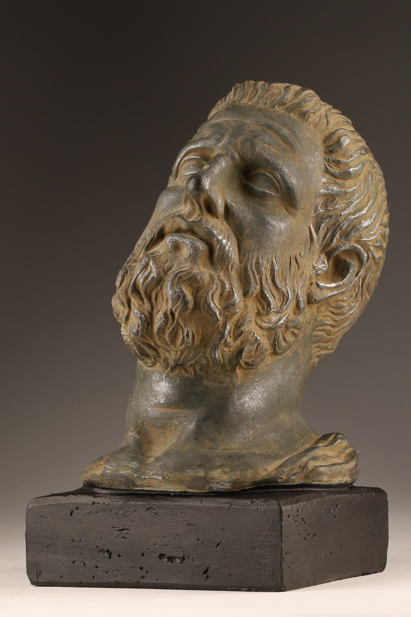 Classical Style Patinated Male Bust Hippocrates (1 of 8)
