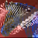 Andy Warhol Grevy's Zebra Endangered Species