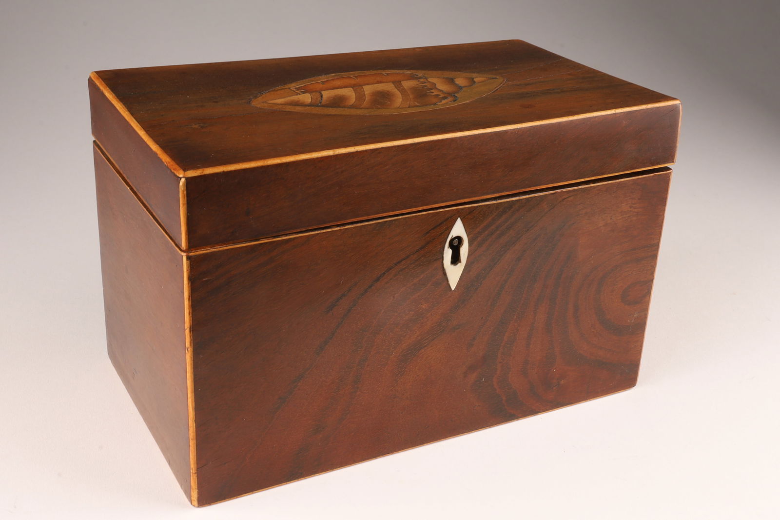 Antique English Edwardian Tea Caddy Shell Inlay (1 of 4)