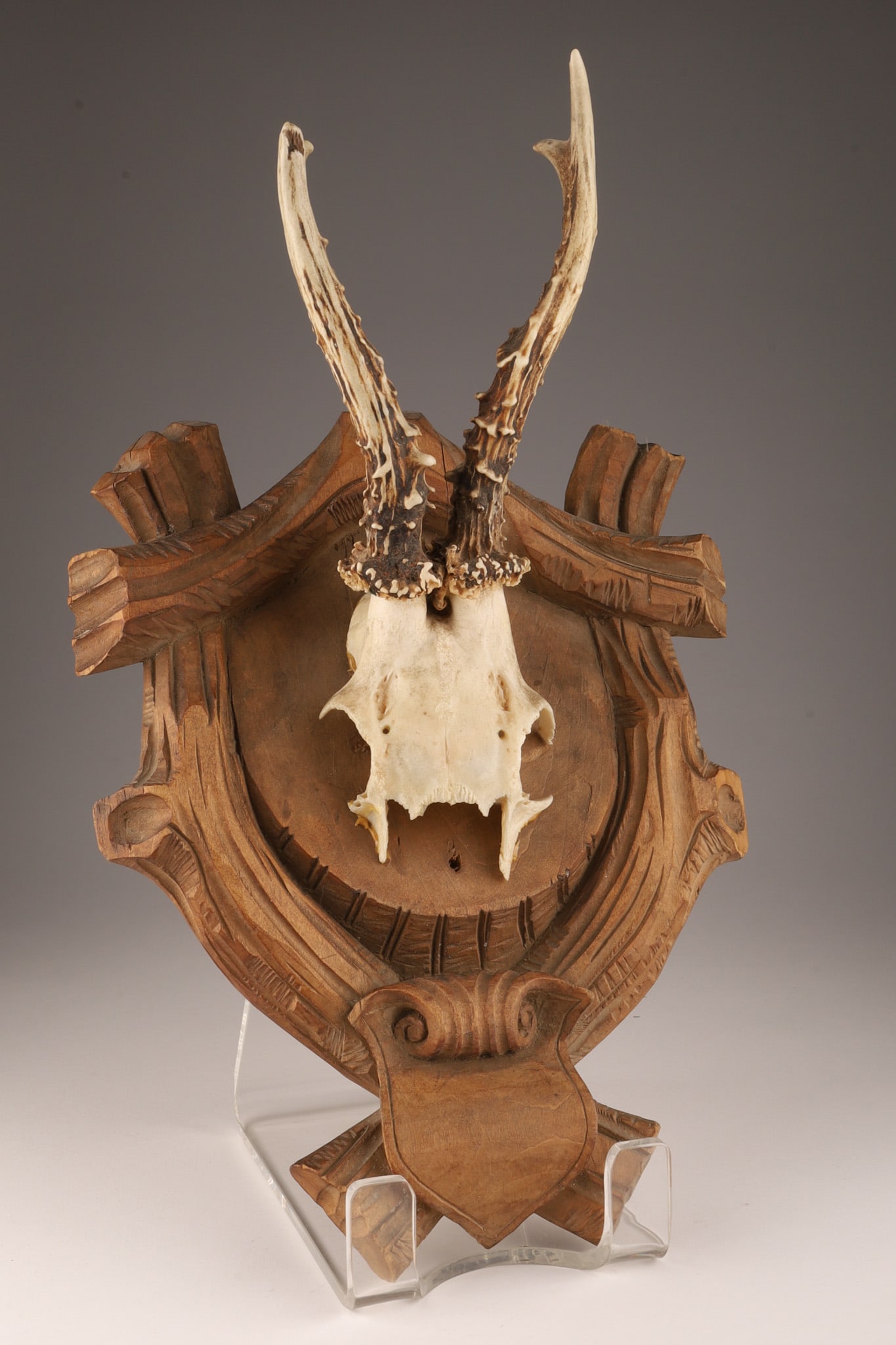 Black Forest Style Roe Deer Trophy on Plaque (1 of 5)