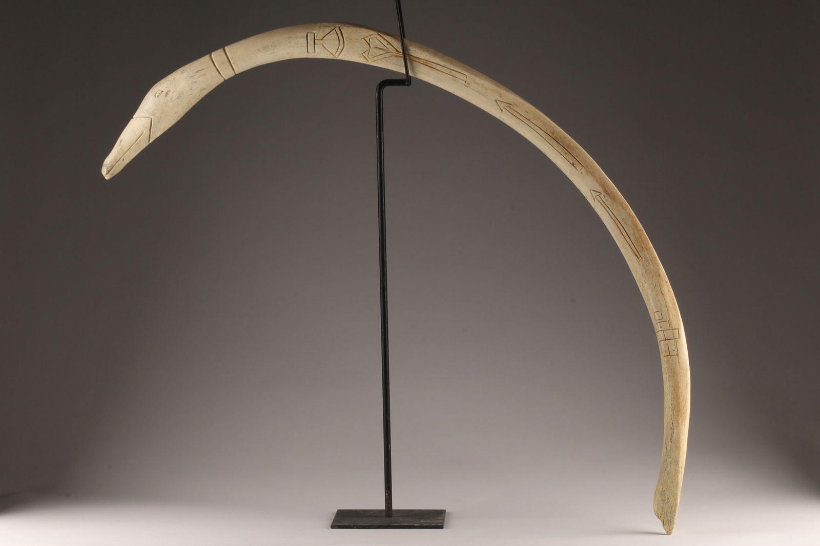 Whale Rib Bone with Scrimshaw Carvings: Whale rib, decorated with scrimshaw carvings including a bird head on the extremity. Approximately 50 inches in total length.