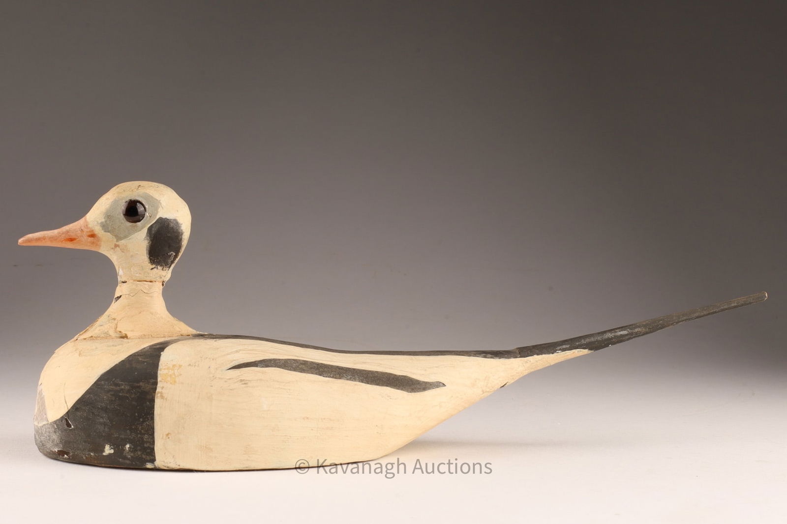 Quarter Sized Long Tailed Duck Nova Scotia 1950s (1 of 8)