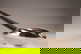 item-208123463=3