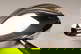 item-208123463=4
