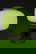item-208123502=4