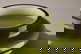 item-208123502=5