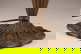 item-208123525=3