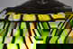 item-208123530=8