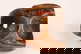 item-208123582=4