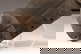item-208123844=7