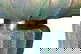 item-208135193=5