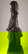 item-210717739=12
