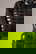 item-210717739=4