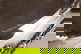item-210717743=8