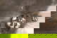 item-210717743=9