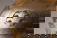 item-210717961=7