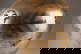 item-210717961=8