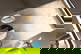 item-210717971=5