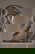 item-210717980=5
