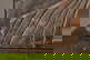 item-210717980=6