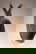 item-210718090=5
