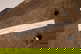 item-210718097=11