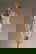 item-210718097=3