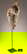item-210718097=9