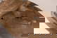 item-210718100=3