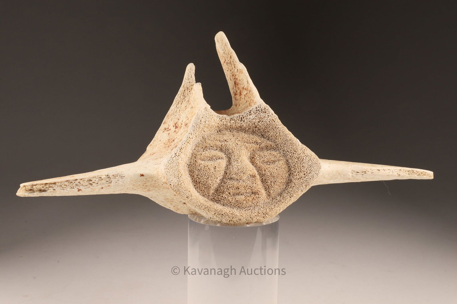Inuit Carved Whale Bone / Vertebrae Portrait: A finely carved Inuit portrait executed on a large whale vertebra, showcasing a portrait that is intricately incised into the natural surface of the bone. Signed on one wing and annotated on the other