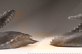 Nichol Blue Bill Duck Decoy from Ontario, Canada: Attributed to David K. Nichol (1859-1949) Blue Bill Duck Decoy from Ontario, Canada with comb paintwork. Restoration to neck, as shown. 12 inches L x 6 H x 5.5 deep.