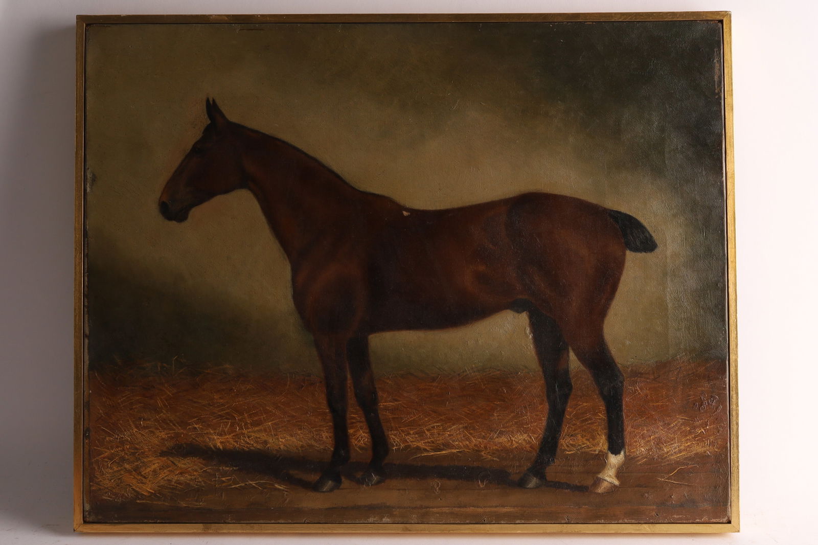 Leopold Galarneau (Canadian, active 1882 - 1902) Portrait of a Horse, Paddy (1 of 20)