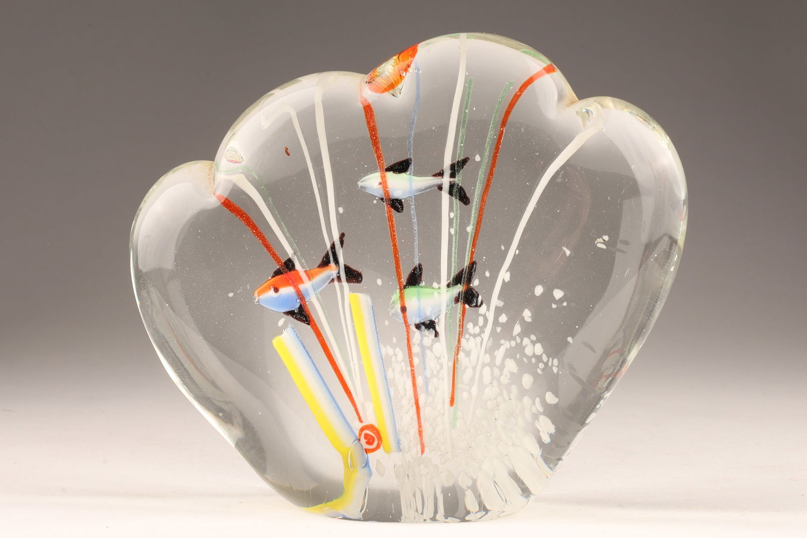 Mid Century Art Glass Murano Fish Aquarium Paperweight: Vintage Murano art glass aquarium paperweight, shaped like a shell, with fish inside. Measuring 4.75 inches x 5.5 inches 1.75 inches.