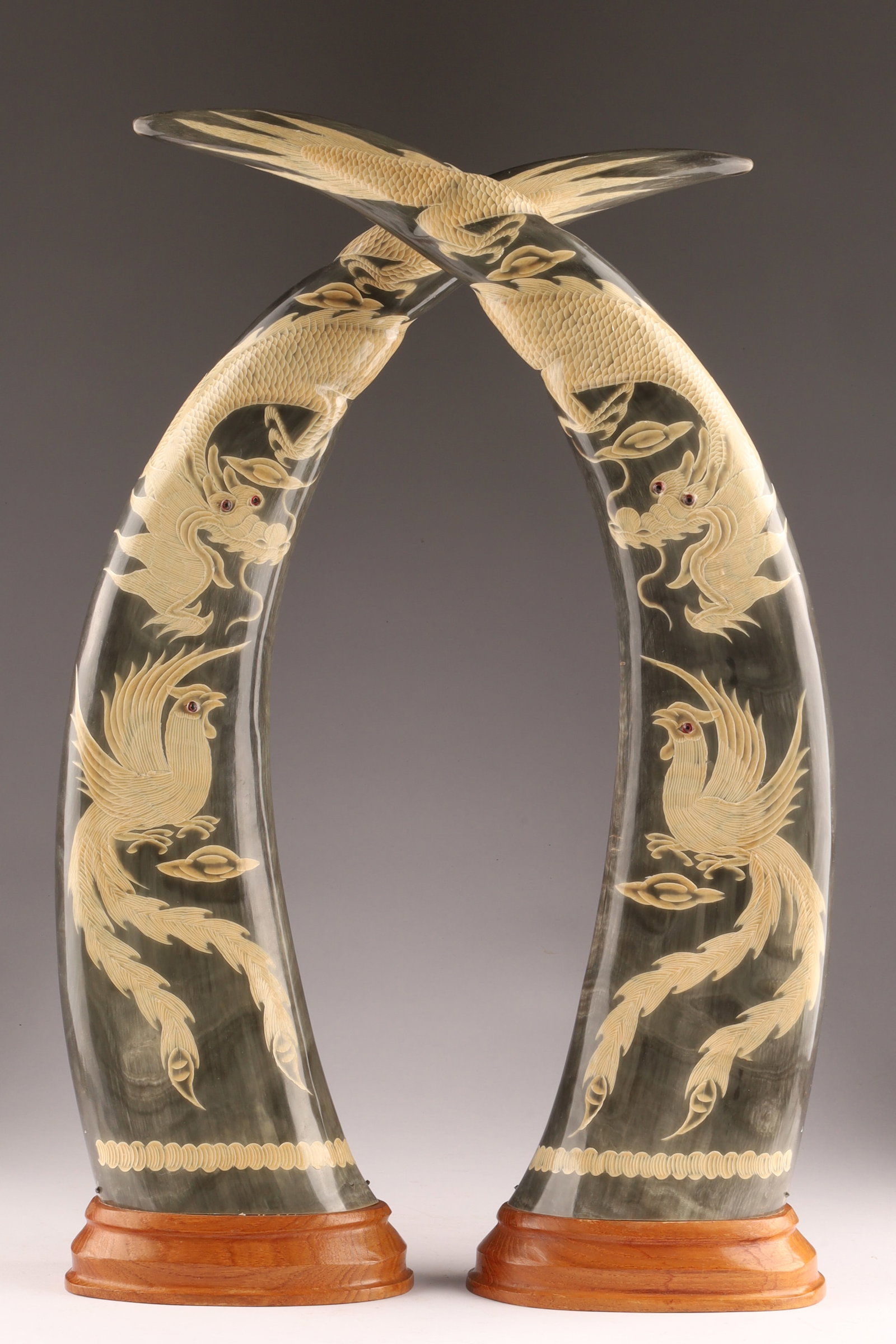 Pair of Chinese Carved Water Buffalo Horns Featuring Dragons and Phoenix: Pair of Chinese carved water buffalo horns mounted on wood bases, decorated with traditional Asian motifs of dragons and phoenixes. Material: Authentic carved water buffalo horn, featuring intr