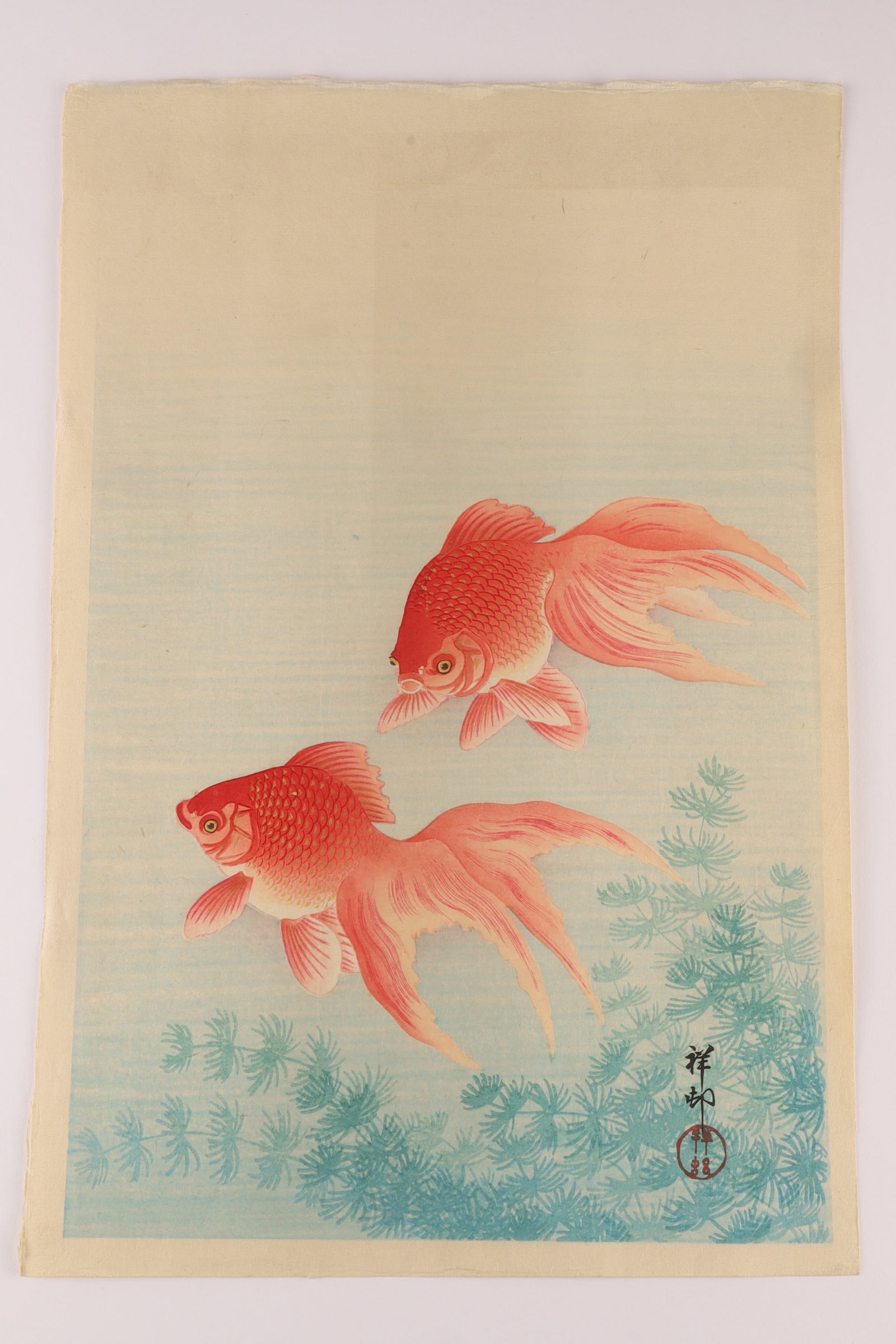 Ohara Shoson (1877-1945) Japanese Woodblock Print of Goldfish, Shin-Hanga: A Japanese polychrome woodblock print depicting two goldfish swimming among aquatic plants, signed Shoson with red seal. The composition demonstrates the refined naturalism and soft tonal gradation c