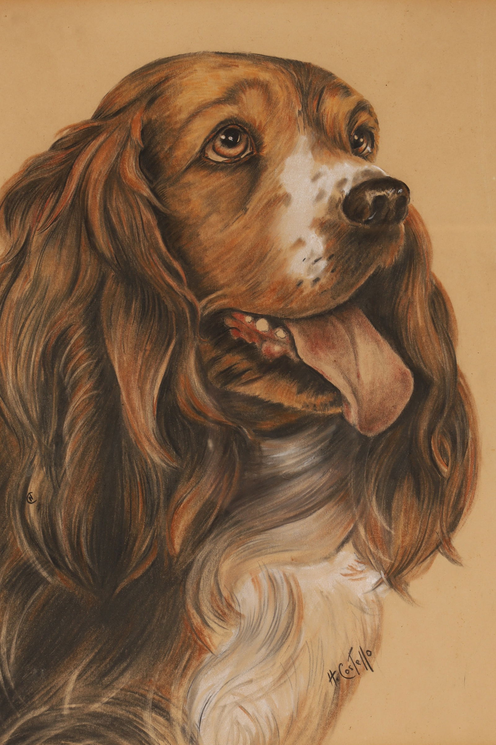 1929 Mezzotint Lady Hamilton as Bacchante, E.M. Hester, Alfred Bell and Co. London, Framed Print,: A mezzotint reproduction after E.M. Hester, published in 1929 by Alfred Bell & Co. Ltd., 6 Old Bond Street, London. The composition depicts a romantic female figure in classical drapery standing b