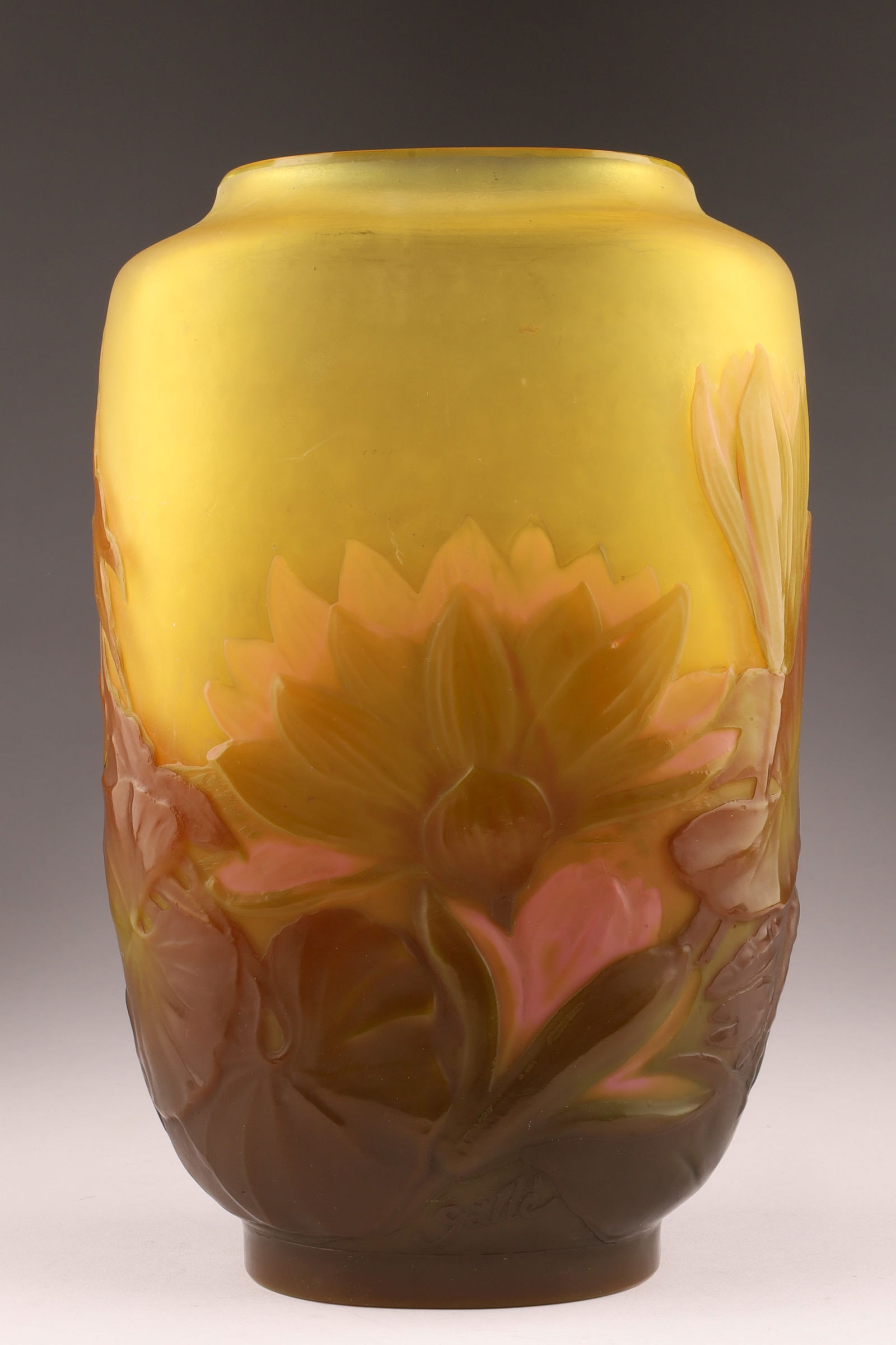 Galle French Cameo Glass Water Lily Vase Signed (1 of 9)