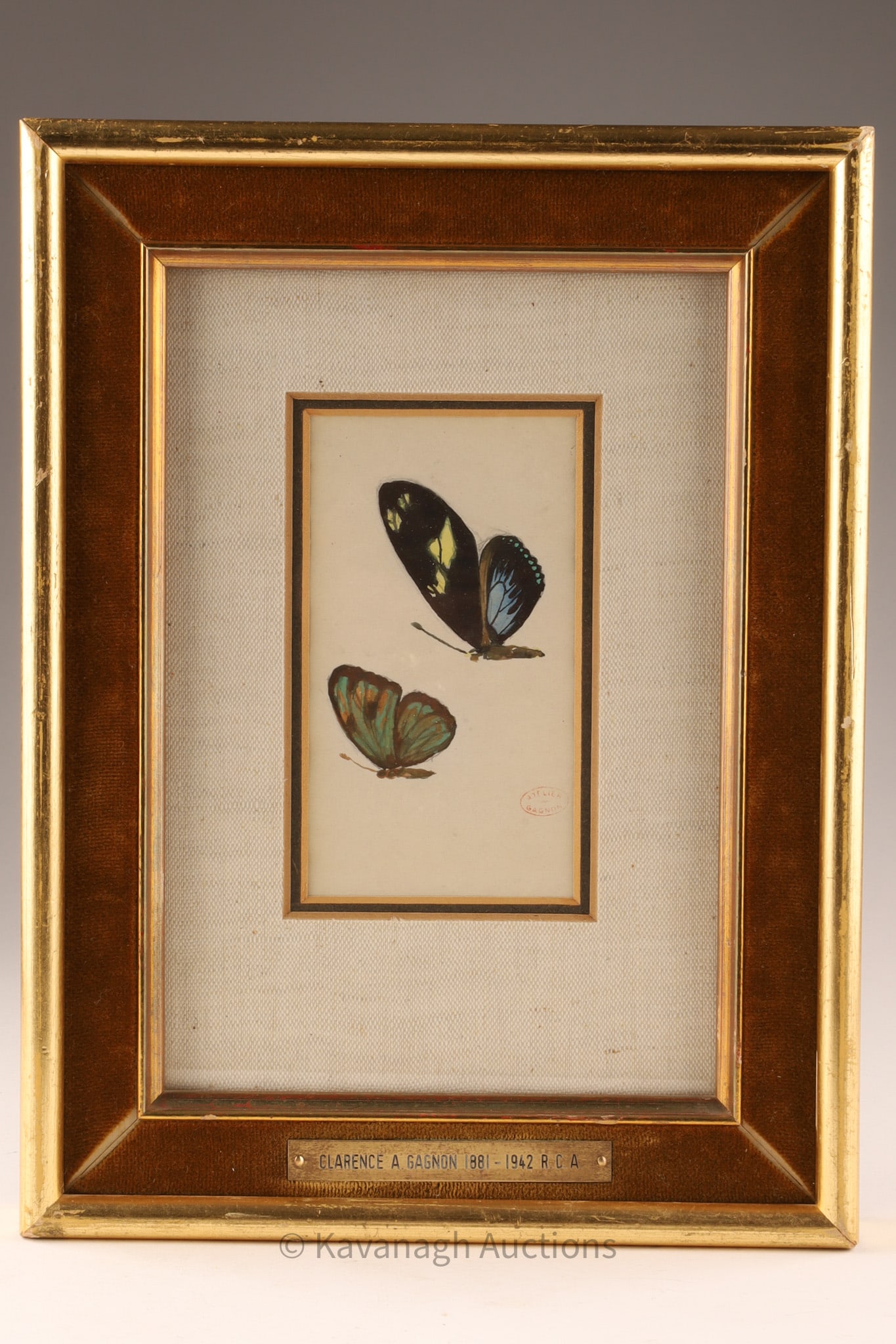 Clarence A Gagnon (1881-1942) R.C.A. Gouache, Etude de Papillons (1 of 8)