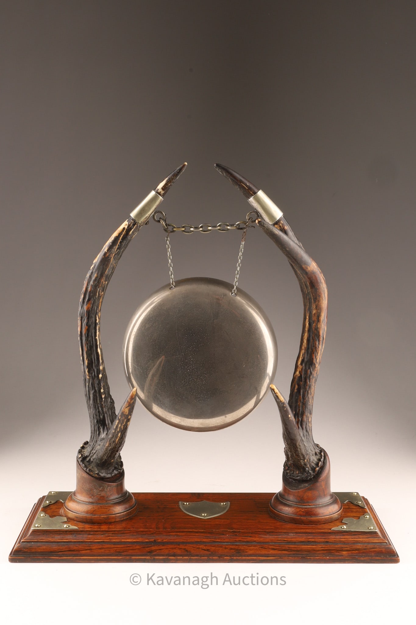 Antique Edwardian Stag Taxidermy Antler Dinner Gong (1 of 6)