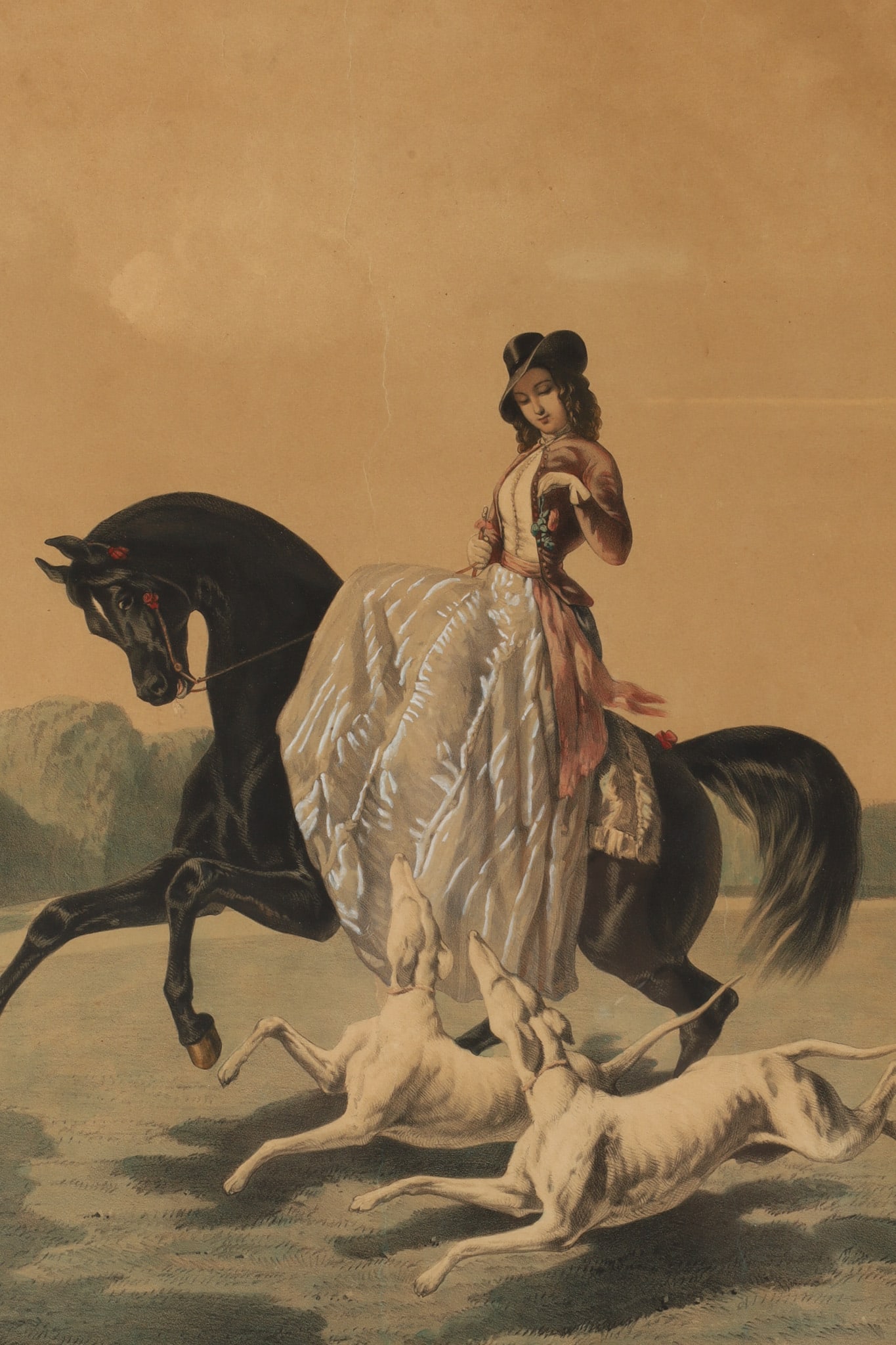 19th C Watercolour Lithograph, Amazon and Two Running Greyhounds (1 of 6)