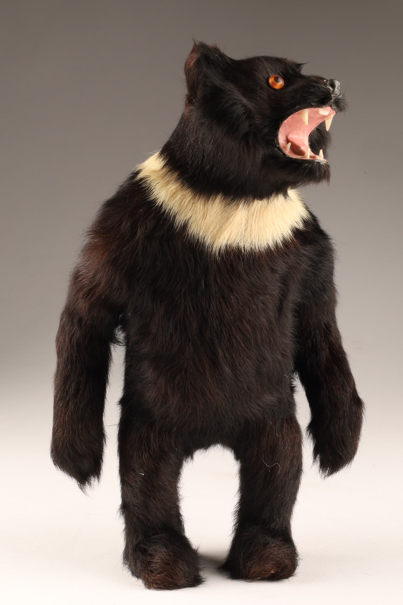 Antique Toy Tasmanian Devil Figure (1 of 6)