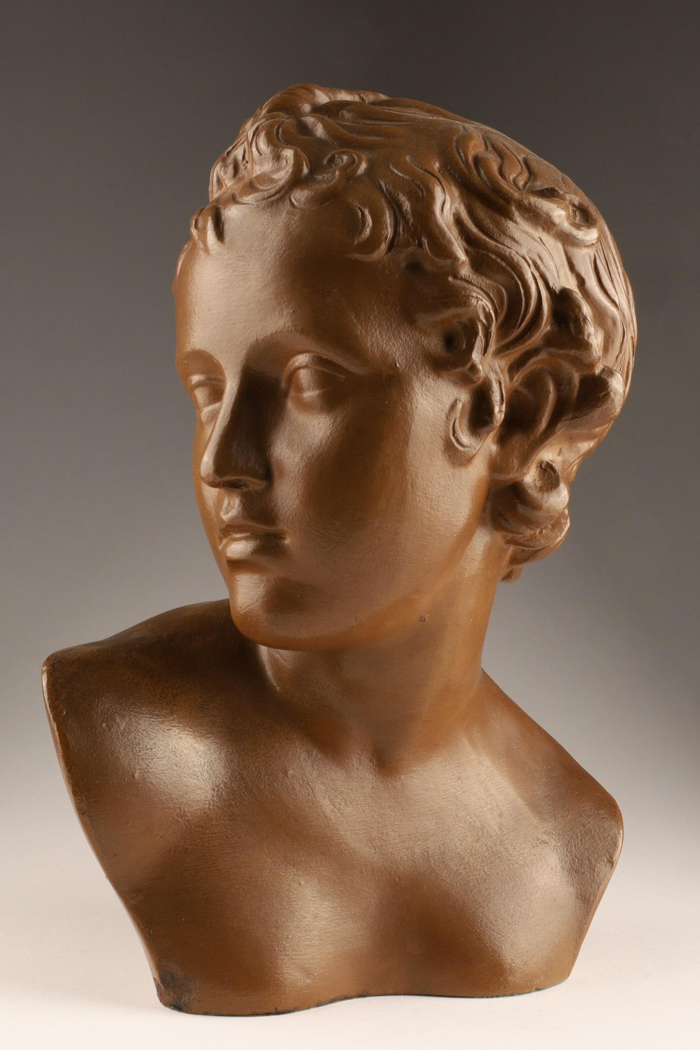French Neoclassical Terracotta Bust of a Roman Youth: A Neoclassical terracotta bust finished with a dark faux-bronze patina, representing a Young Roman Ephebe or youth. Marked on interior, Terrecuite Veritable. 13.5 inches H x 10 W x 6 deep.
