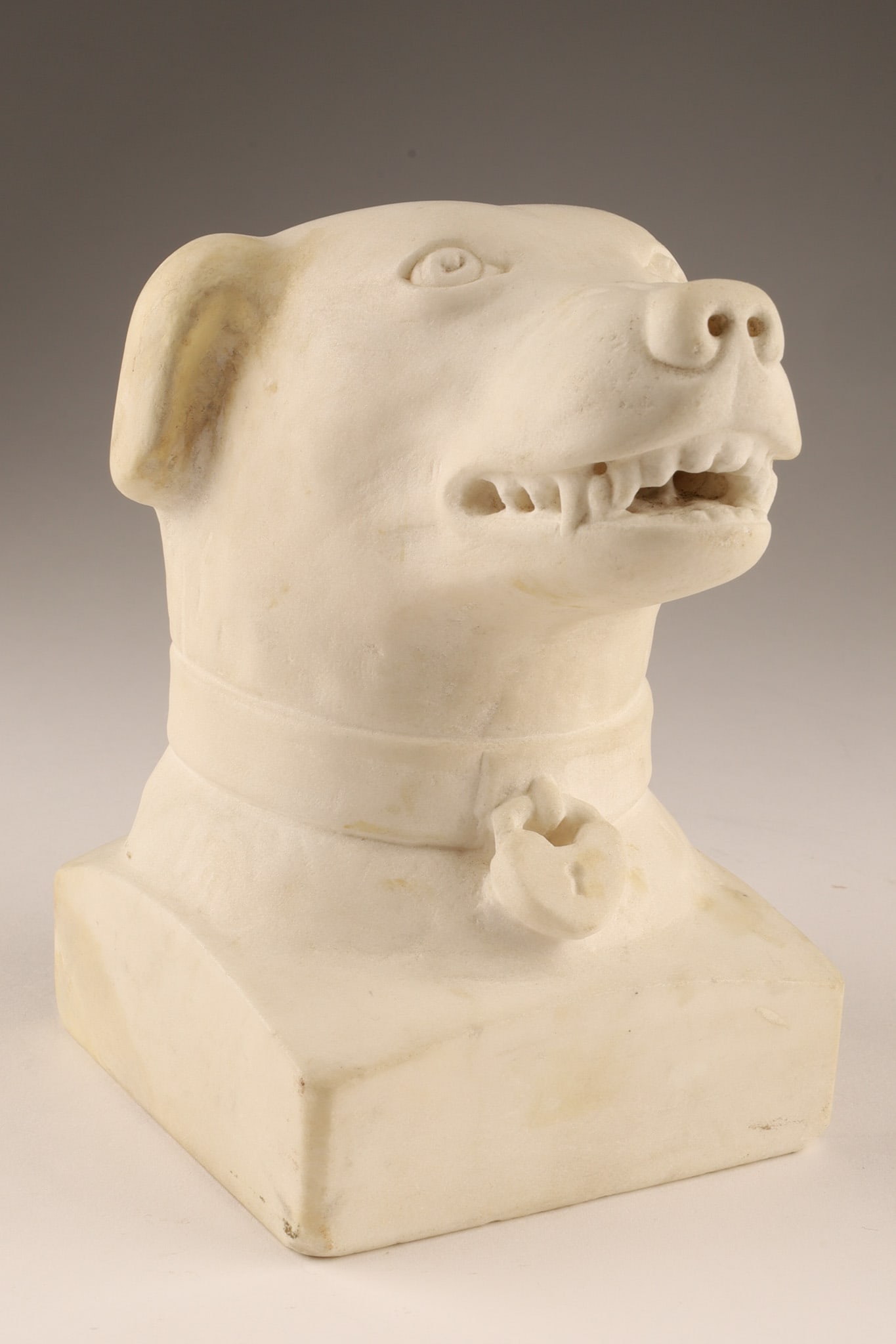 Antique 19th C. Building Salvage Marble Dog Head (1 of 10)