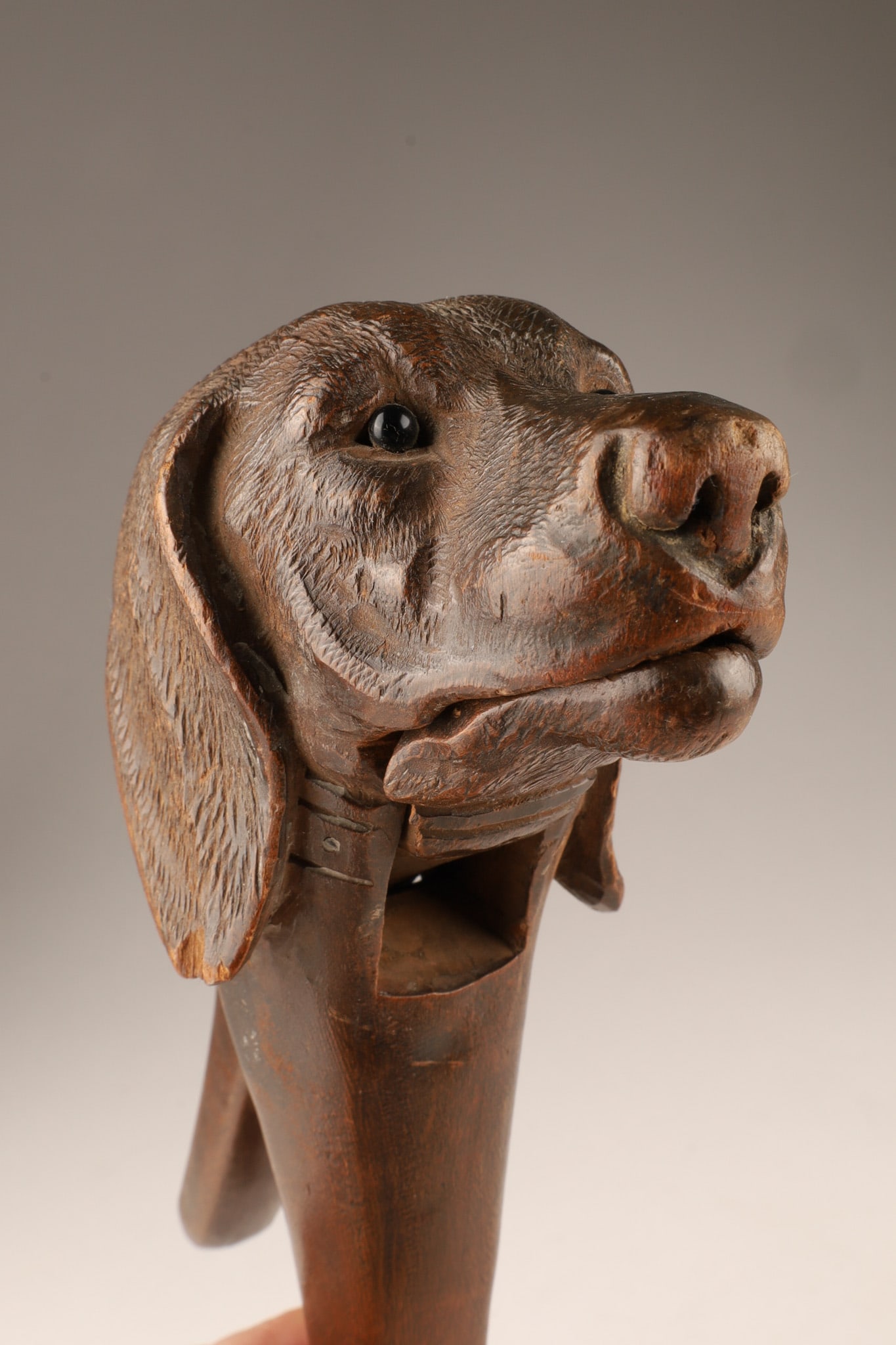 Antique Black Forest Carved Dog Walnut Nutcracker: A antique hand-carved dog head nutcracker, Swiss Black Forest folk art style crafted from walnut wood and featuring detailed glass eyes. 8 inches L.